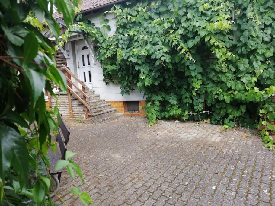 Ferienwohnung, * Waigolshausen